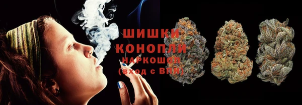 шишки Магас