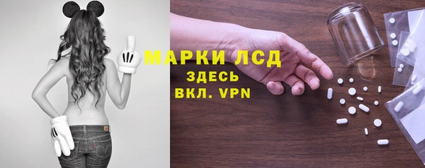 ГАЛЛЮЦИНОГЕННЫЕ ГРИБЫ Медвежьегорск