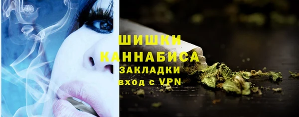 шишки Магас