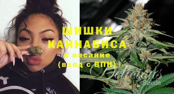 шишки Магас