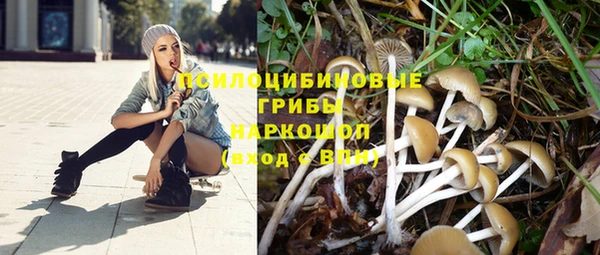 apvp Магадан