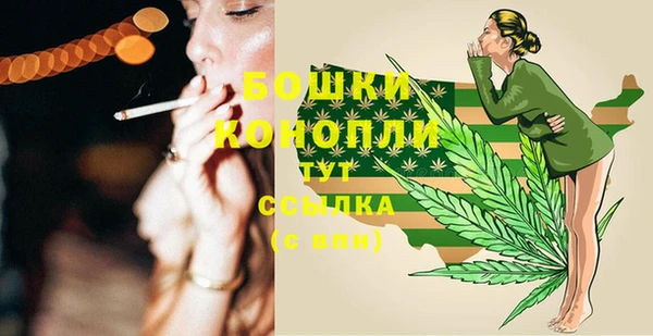 альфа пвп Медногорск