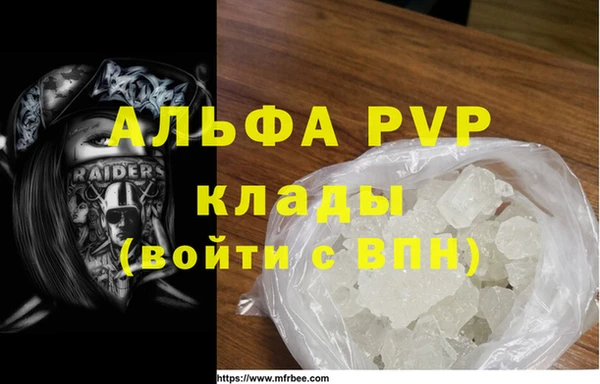 шишки Магас