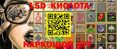 гидра Волгодонск