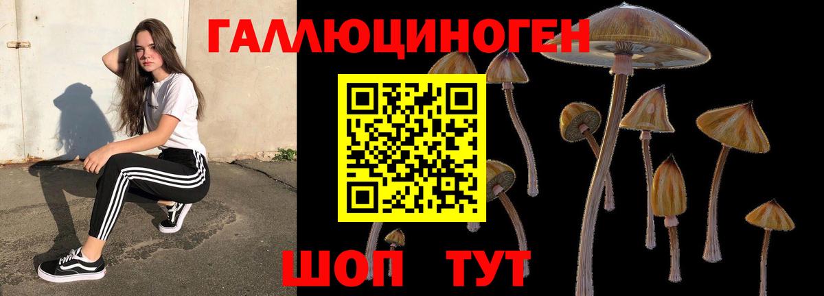 Псилоцибиновые грибы Cubensis Саранск