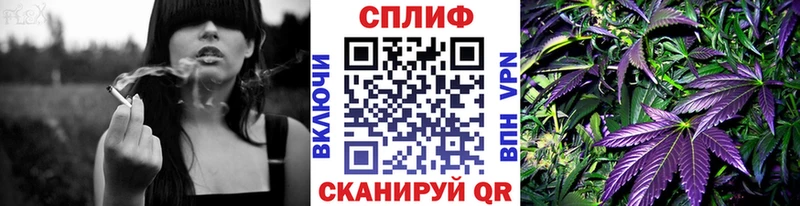 купить наркоту  Саранск  Шишки марихуана индика 